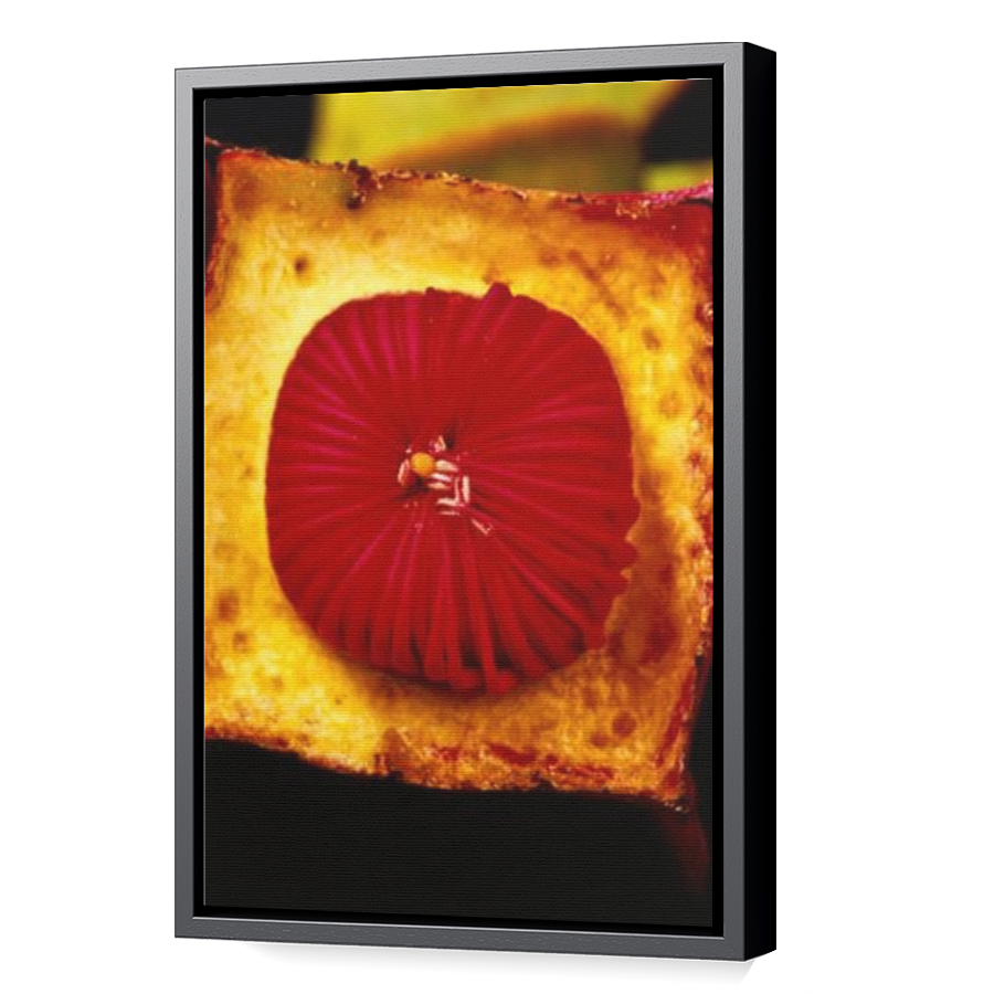 Thumbnail for Canvas - Black Floating Frame