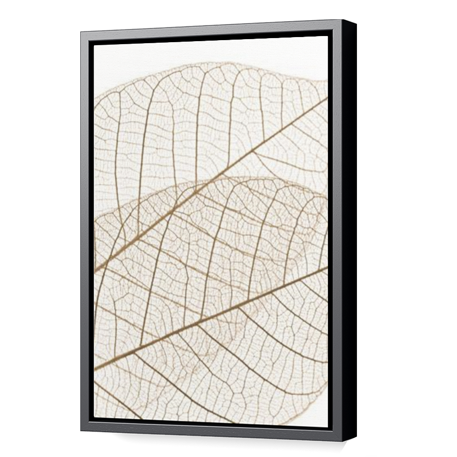 Thumbnail for Canvas - Black Floating Frame