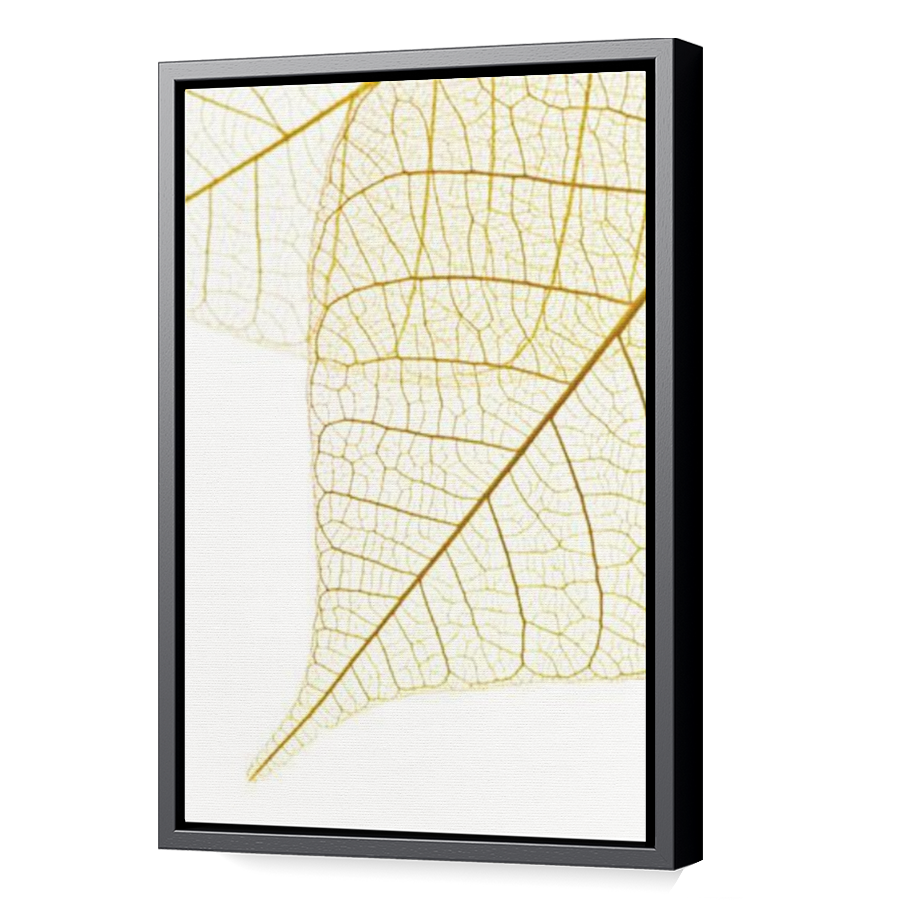 Thumbnail for Canvas - Black Floating Frame