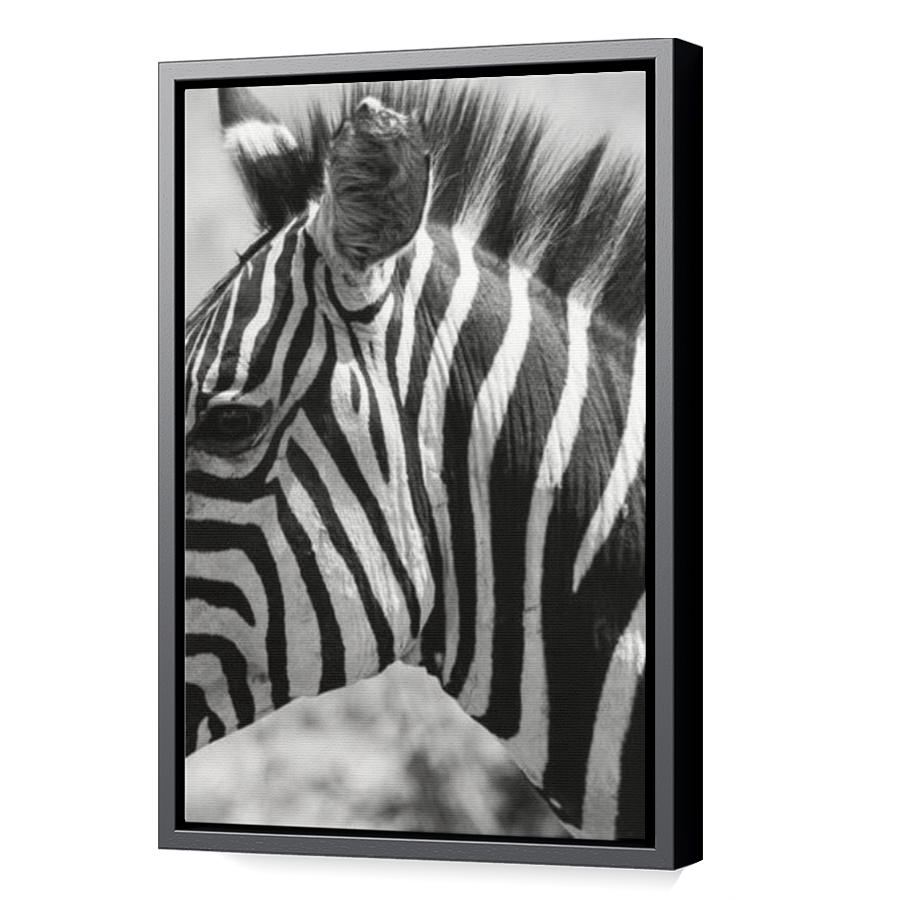 Thumbnail for Canvas - Black Floating Frame