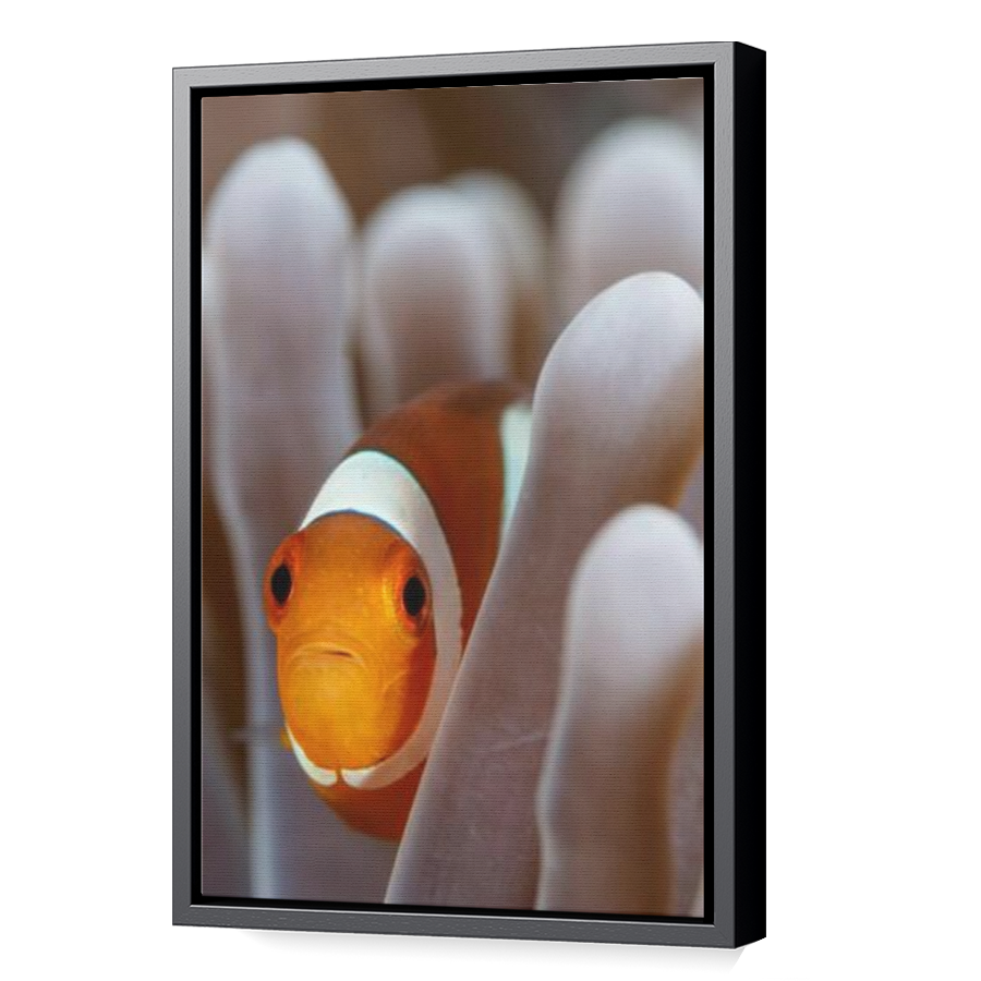 Thumbnail for Canvas - Black Floating Frame