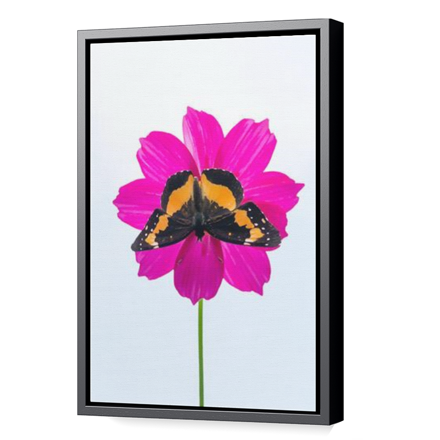 Thumbnail for Canvas - Black Floating Frame