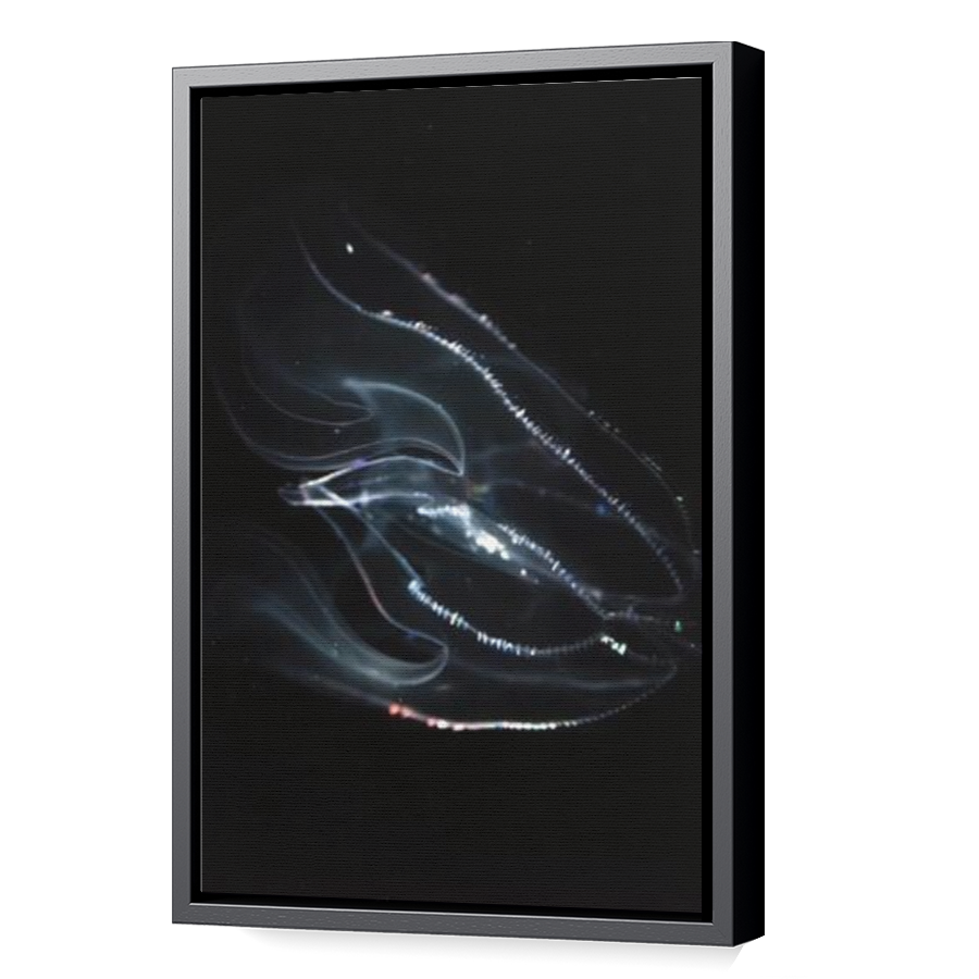 Thumbnail for Canvas - Black Floating Frame