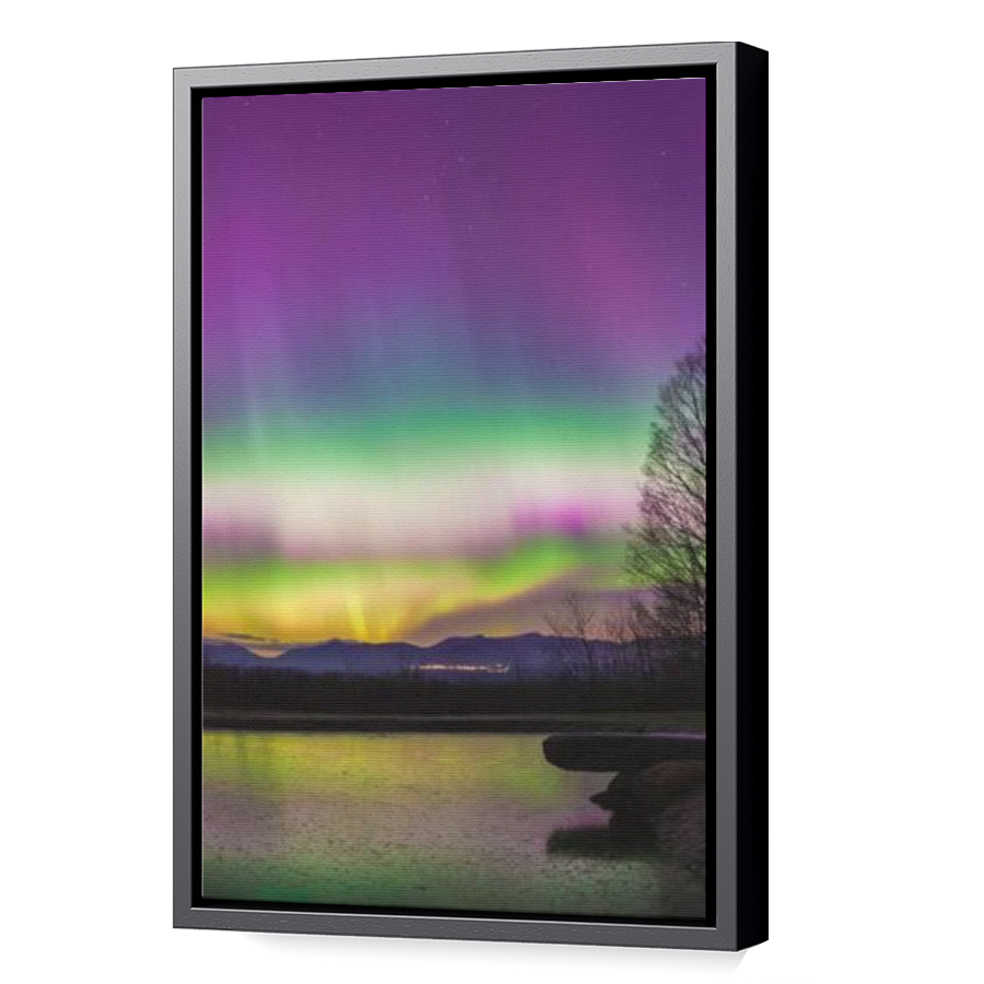 Thumbnail for Canvas - Black Floating Frame