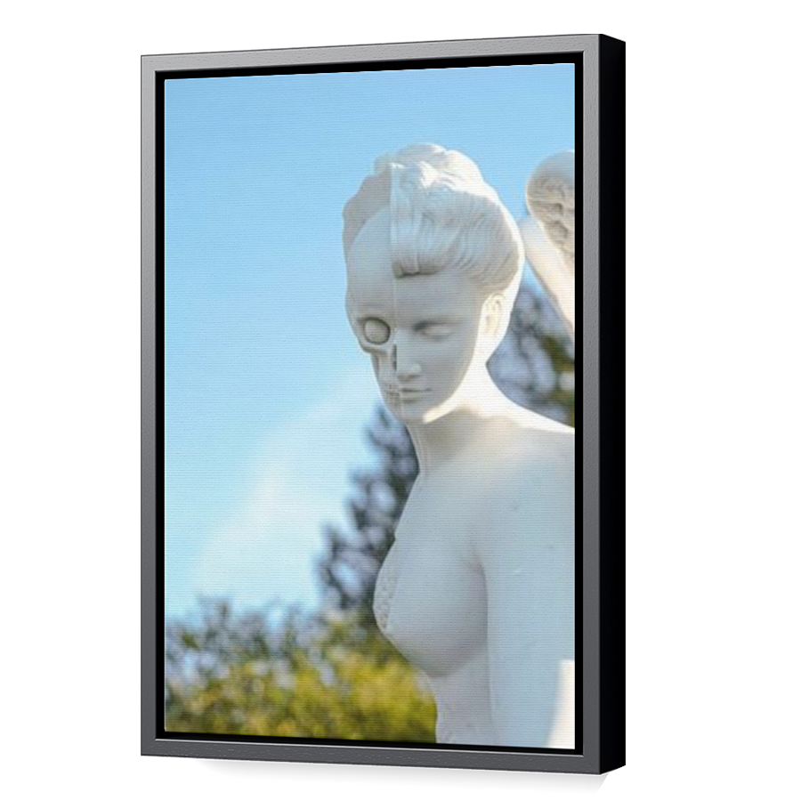 Thumbnail for Canvas - Black Floating Frame