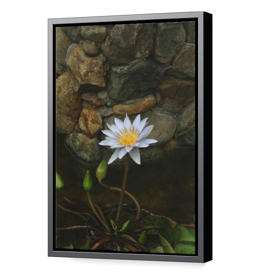 Thumbnail for Canvas - Black Floating Frame