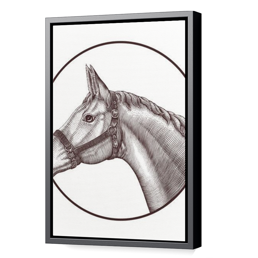 Thumbnail for Canvas - Black Floating Frame