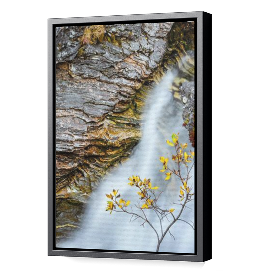 Thumbnail for Canvas - Black Floating Frame