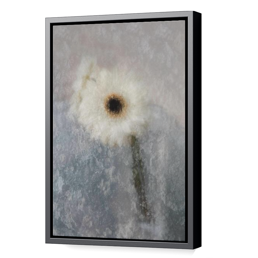 Thumbnail for Canvas - Black Floating Frame
