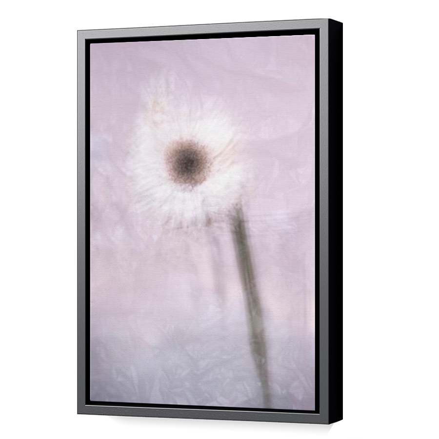 Thumbnail for Canvas - Black Floating Frame