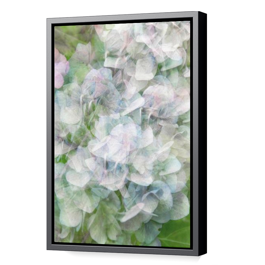 Thumbnail for Canvas - Black Floating Frame