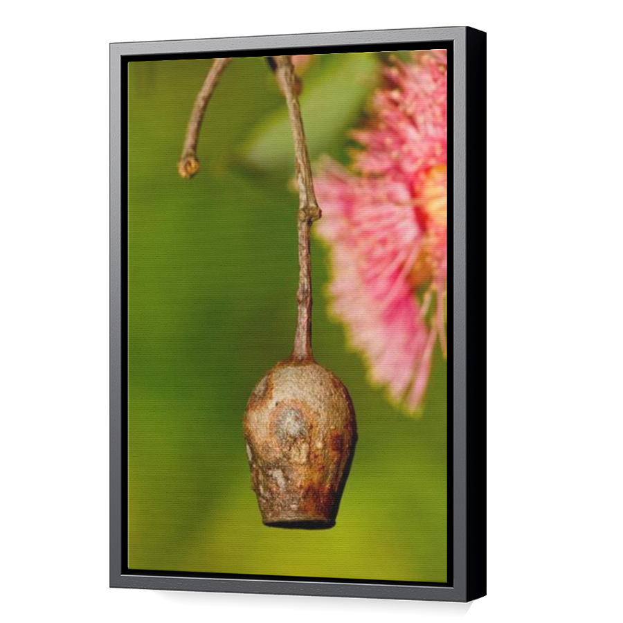 Thumbnail for Canvas - Black Floating Frame
