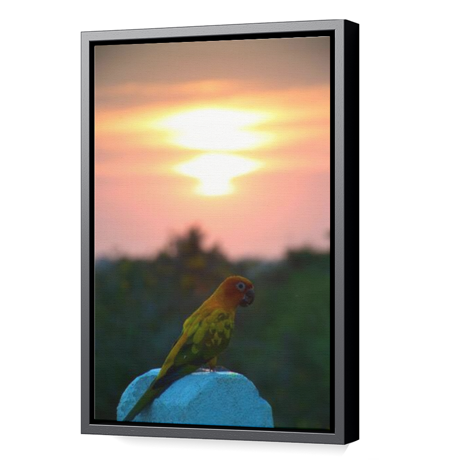 Thumbnail for Canvas - Black Floating Frame