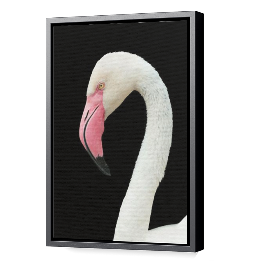 Thumbnail for Canvas - Black Floating Frame
