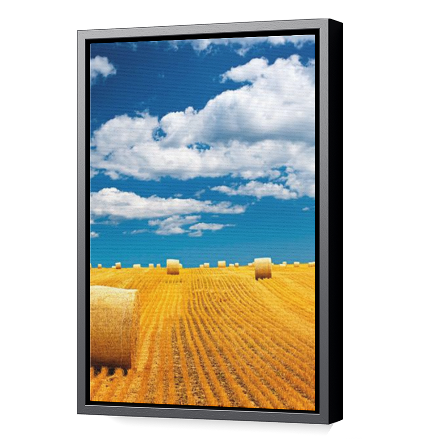 Thumbnail for Canvas - Black Floating Frame
