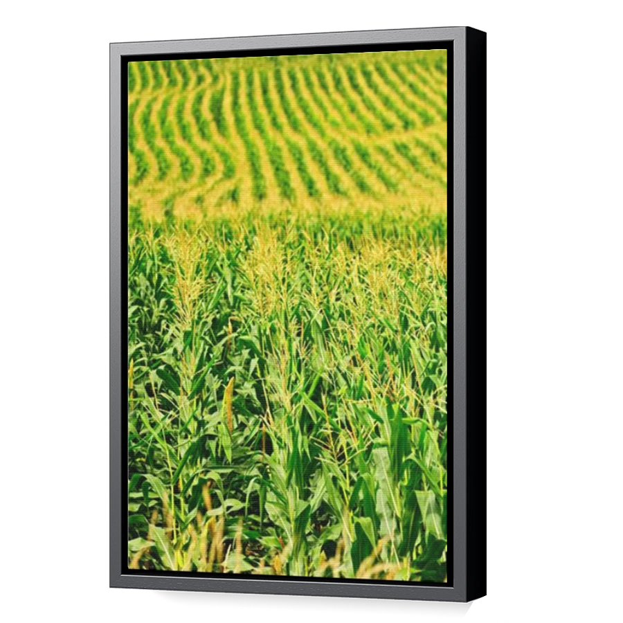 Thumbnail for Canvas - Black Floating Frame