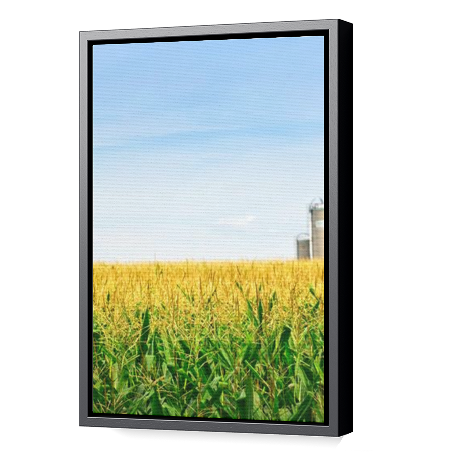 Thumbnail for Canvas - Black Floating Frame