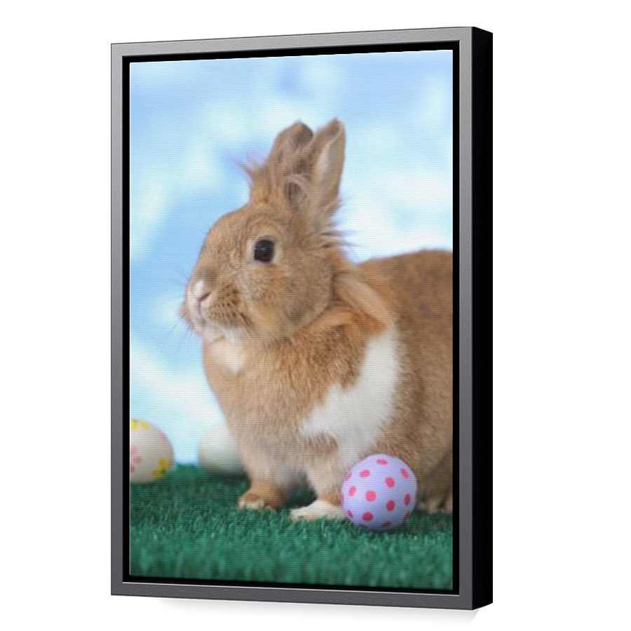 Thumbnail for Canvas - Black Floating Frame