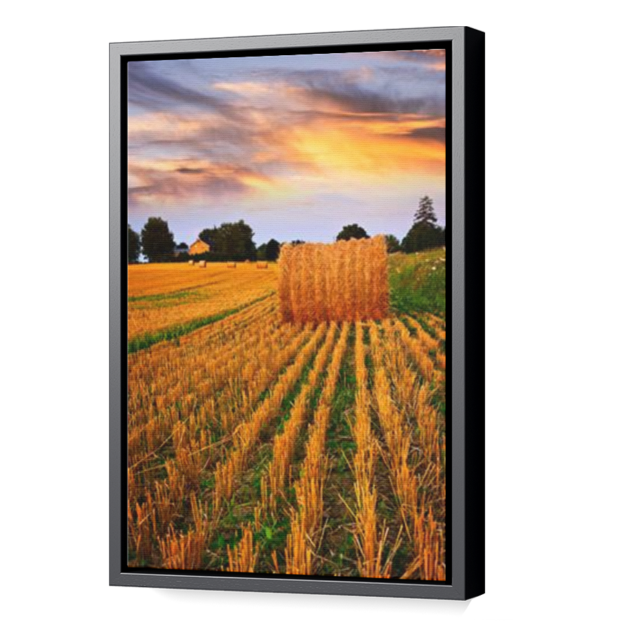 Thumbnail for Canvas - Black Floating Frame