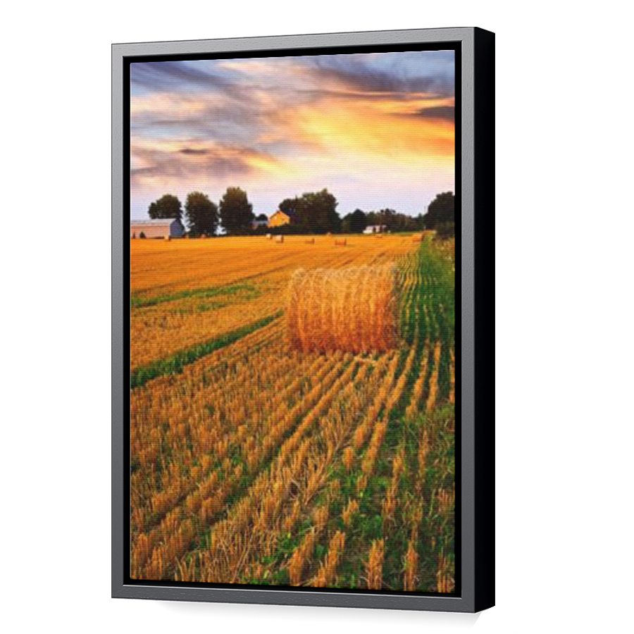 Thumbnail for Canvas - Black Floating Frame
