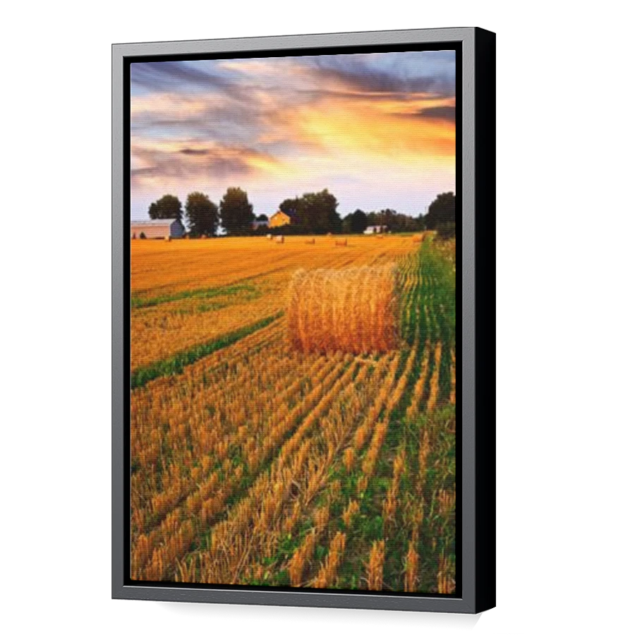 Thumbnail for Canvas - Black Floating Frame