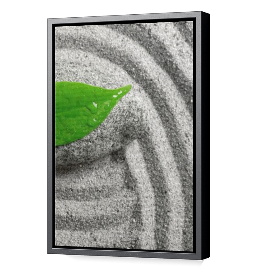 Thumbnail for Canvas - Black Floating Frame