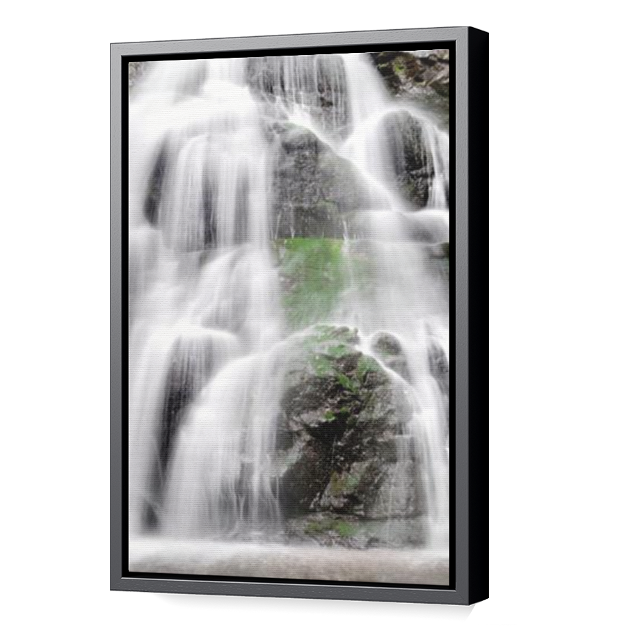 Thumbnail for Canvas - Black Floating Frame