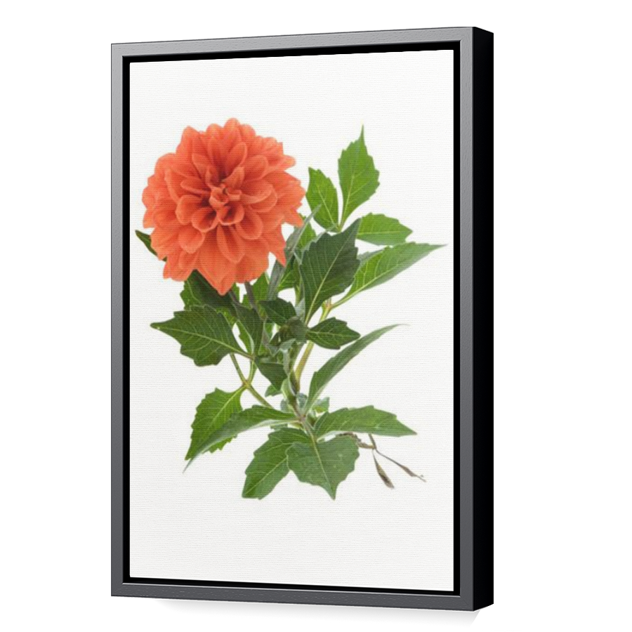 Thumbnail for Canvas - Black Floating Frame