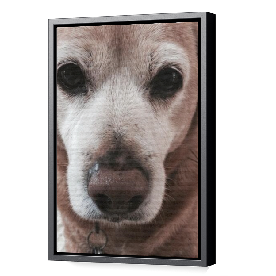 Thumbnail for Canvas - Black Floating Frame