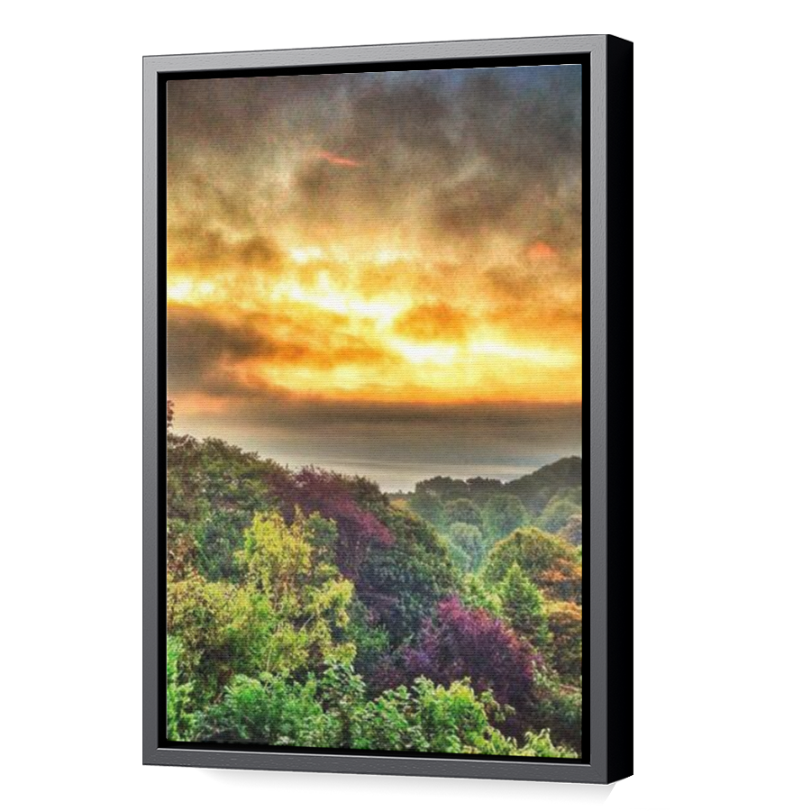 Thumbnail for Canvas - Black Floating Frame