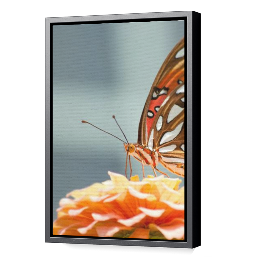 Thumbnail for Canvas - Black Floating Frame