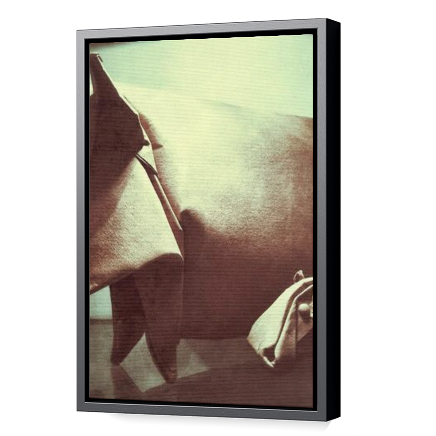 Thumbnail for Canvas - Black Floating Frame