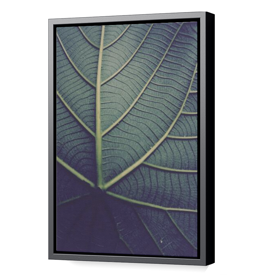 Thumbnail for Canvas - Black Floating Frame