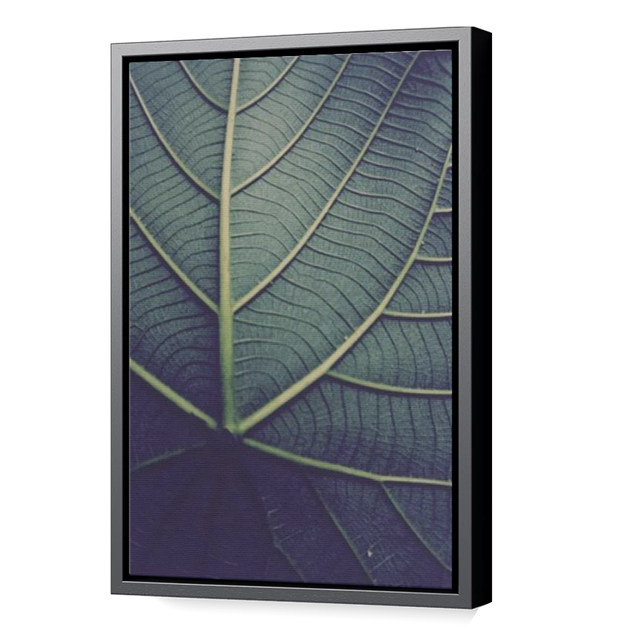 Thumbnail for Canvas - Black Floating Frame