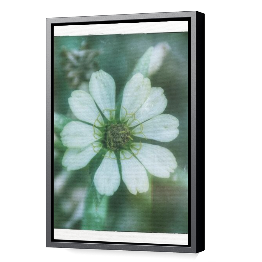 Thumbnail for Canvas - Black Floating Frame