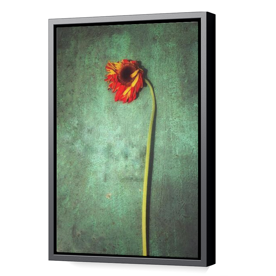 Thumbnail for Canvas - Black Floating Frame