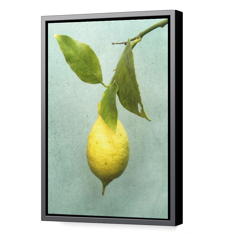 Thumbnail for Canvas - Black Floating Frame