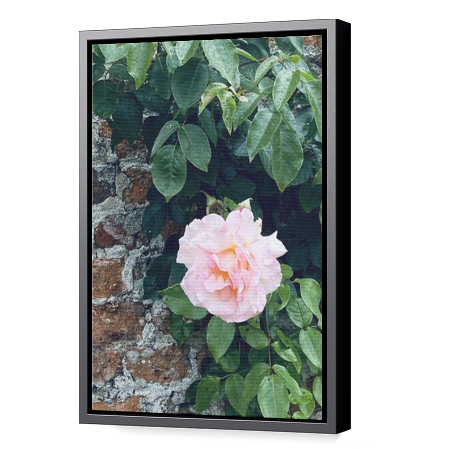 Thumbnail for Canvas - Black Floating Frame