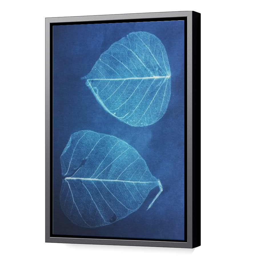 Thumbnail for Canvas - Black Floating Frame