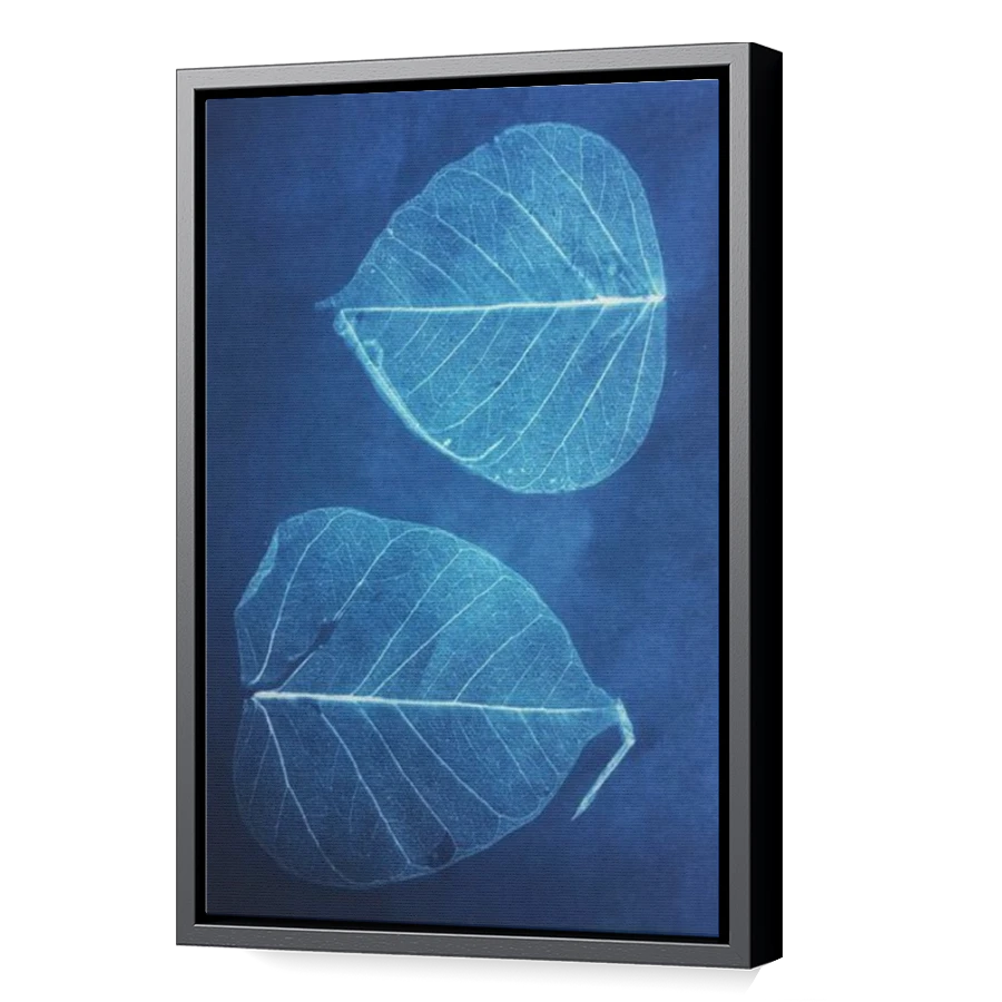Thumbnail for Canvas - Black Floating Frame