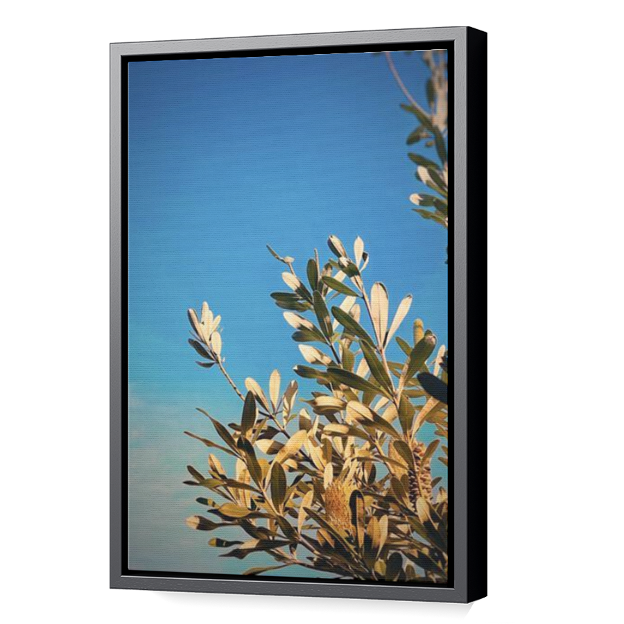 Thumbnail for Canvas - Black Floating Frame