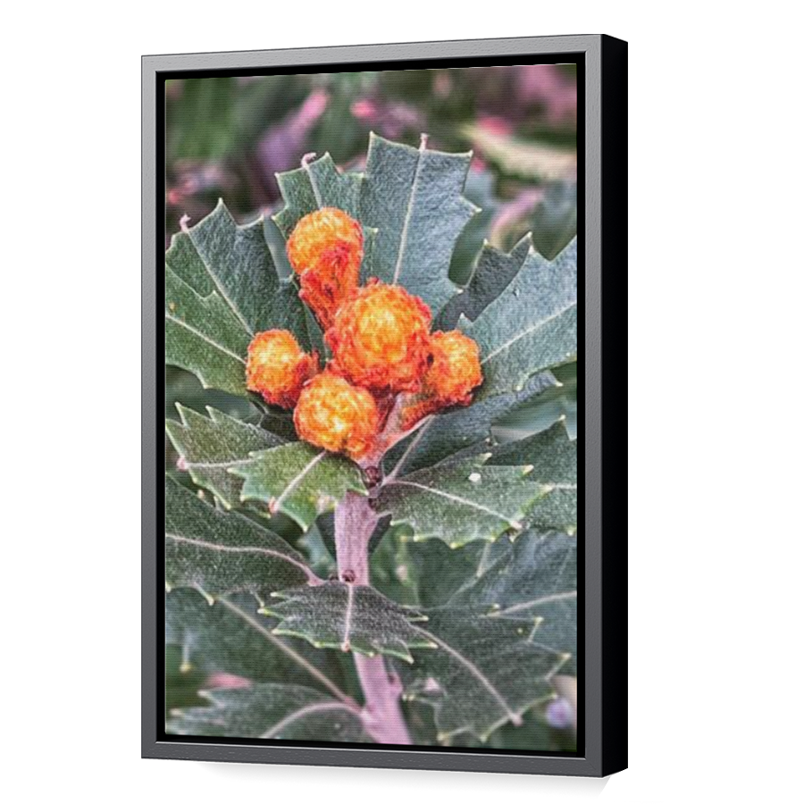 Thumbnail for Canvas - Black Floating Frame