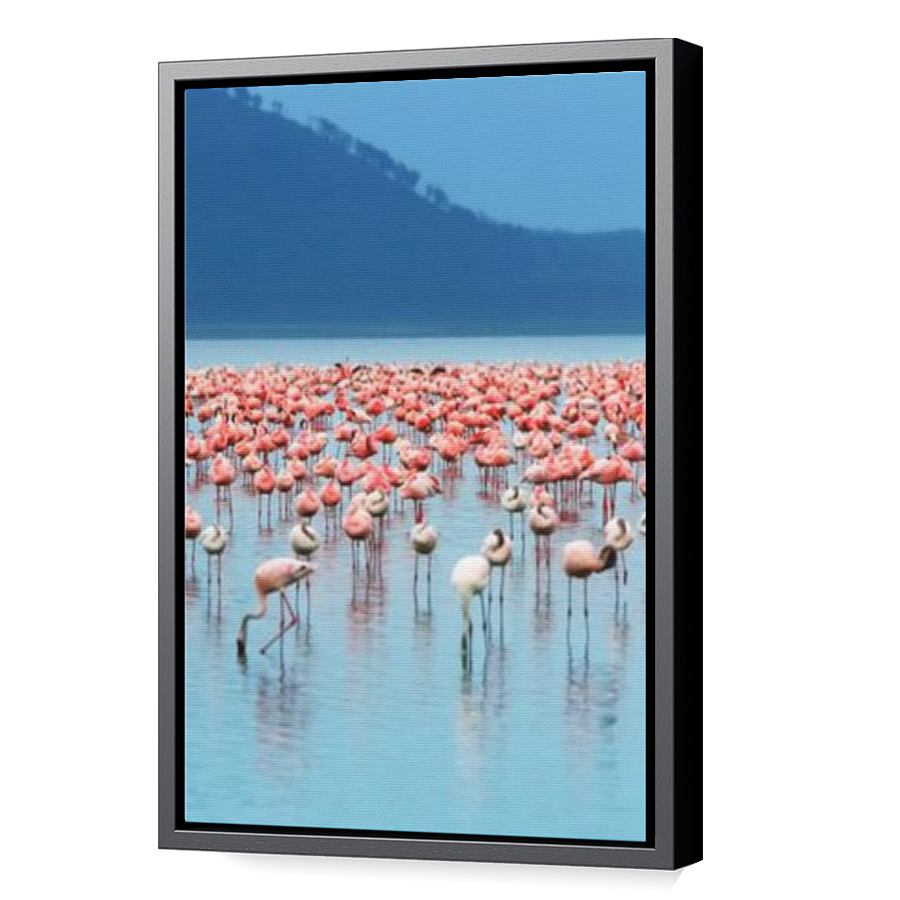 Thumbnail for Canvas - Black Floating Frame