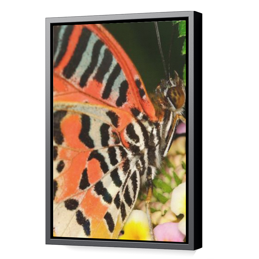 Thumbnail for Canvas - Black Floating Frame