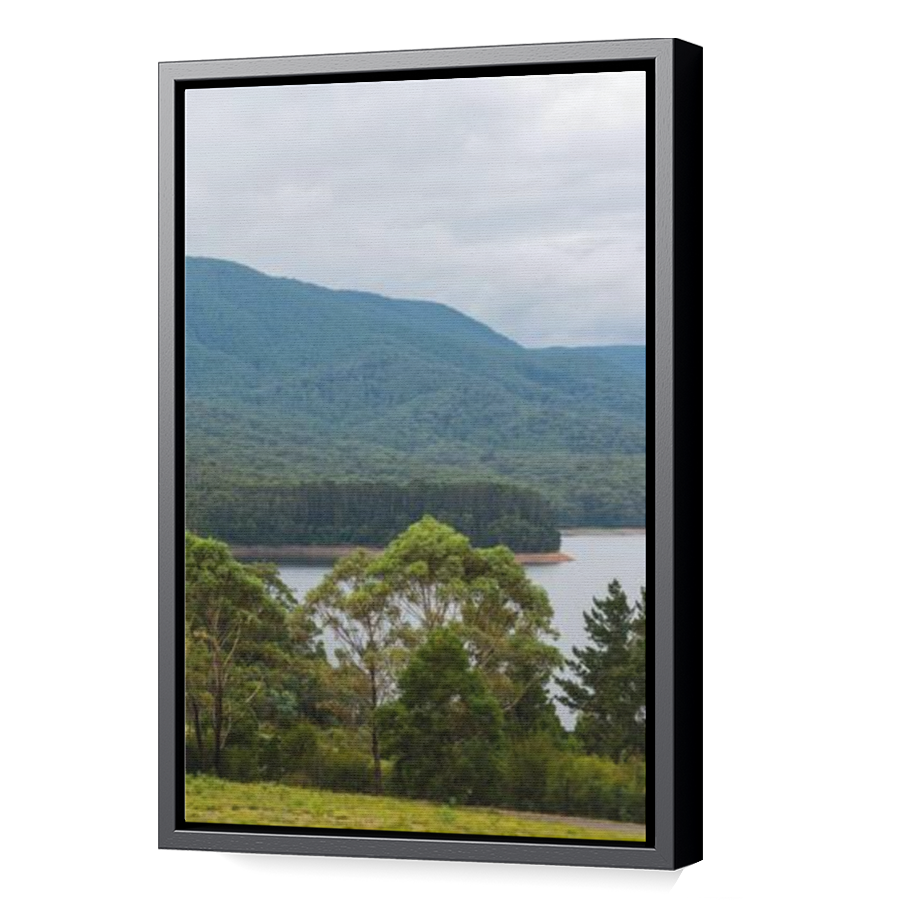 Thumbnail for Canvas - Black Floating Frame