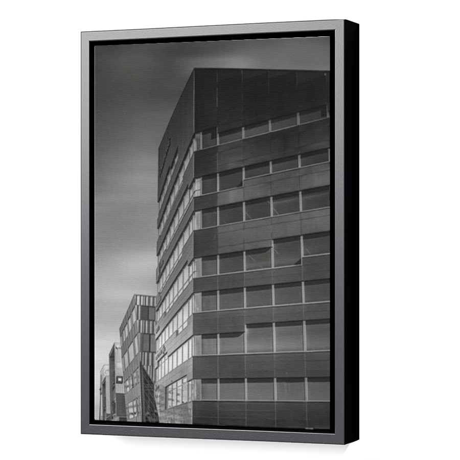 Thumbnail for Canvas - Black Floating Frame