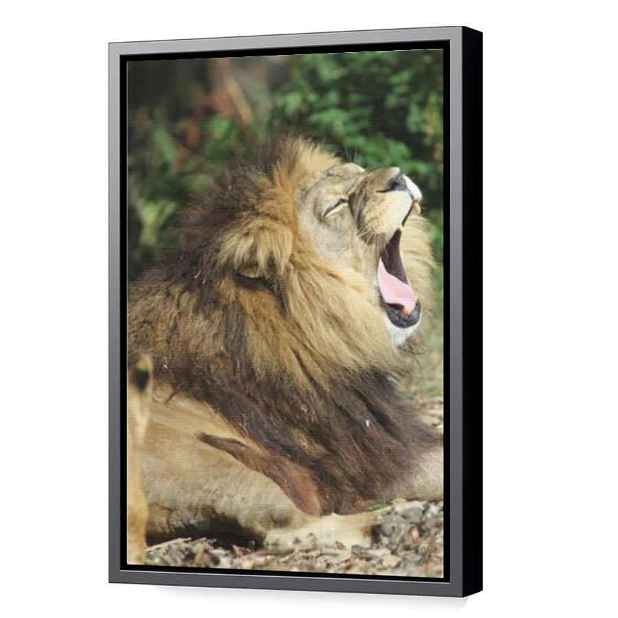 Thumbnail for Canvas - Black Floating Frame