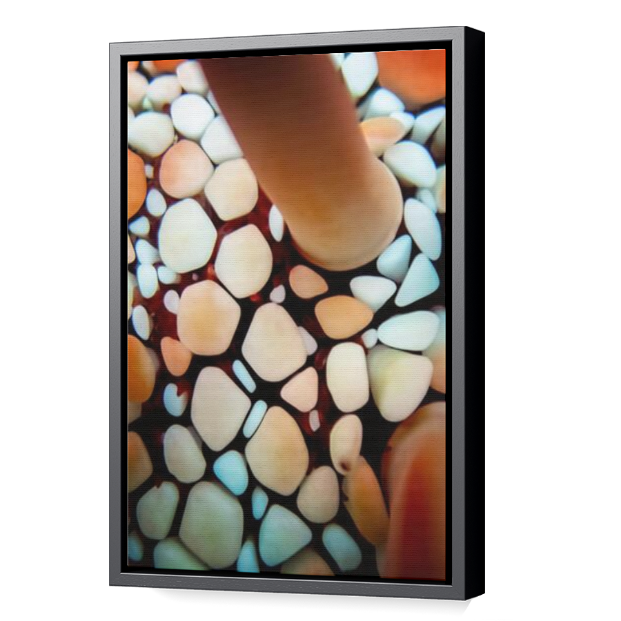 Thumbnail for Canvas - Black Floating Frame