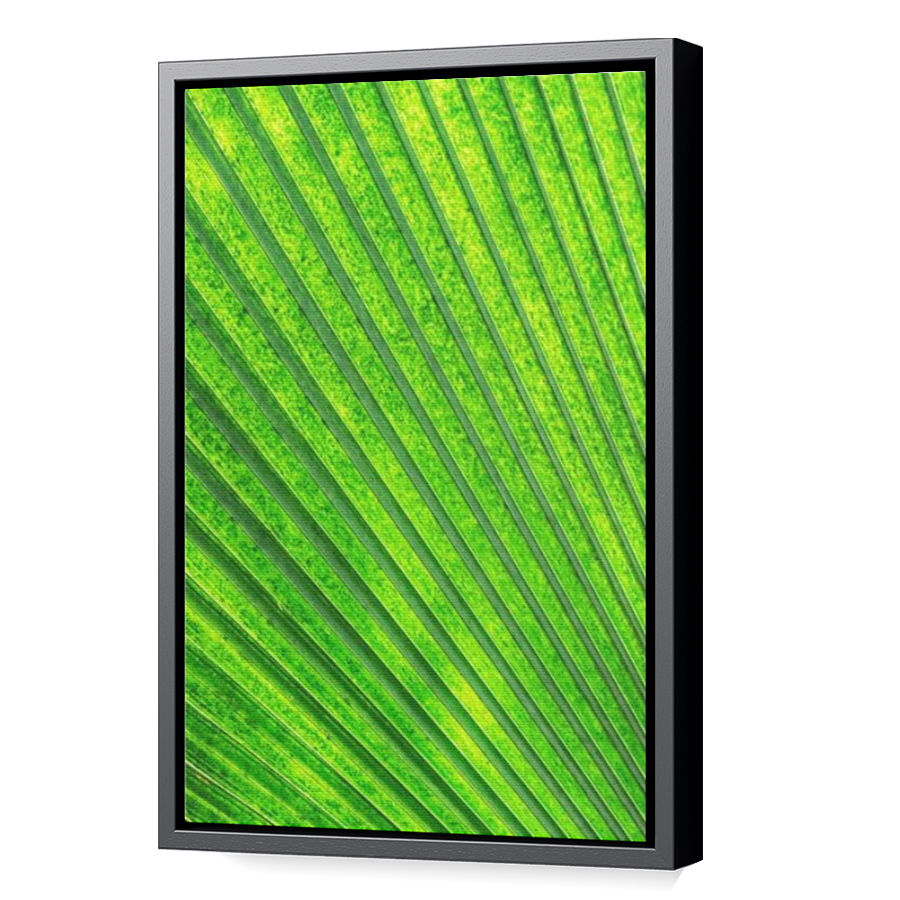Thumbnail for Canvas - Black Floating Frame