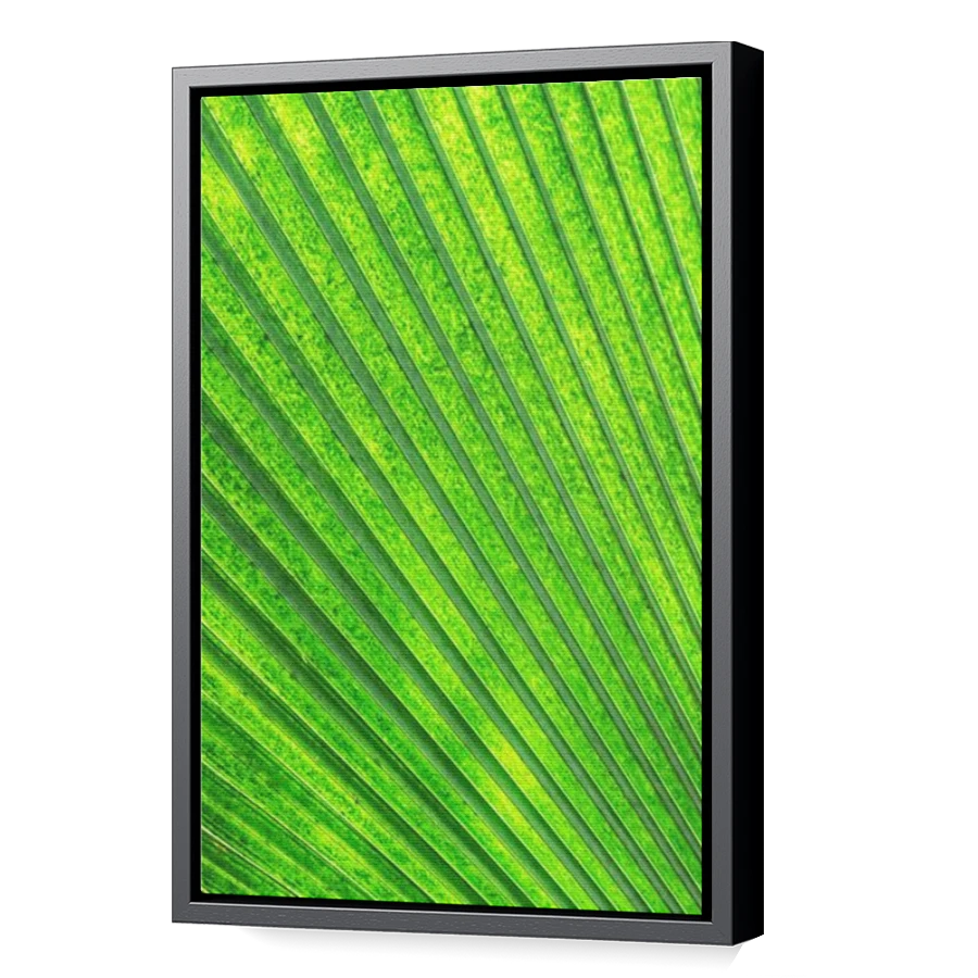 Thumbnail for Canvas - Black Floating Frame